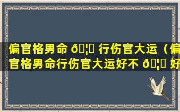 偏官格男命 🦄 行伤官大运（偏官格男命行伤官大运好不 🦆 好）